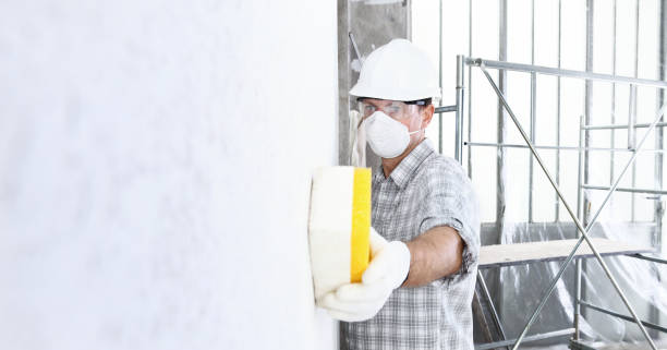 Professional Mold Inspection in North Westport, MA